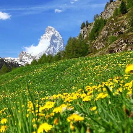 Dianthus-2 By Interhome Zermatt